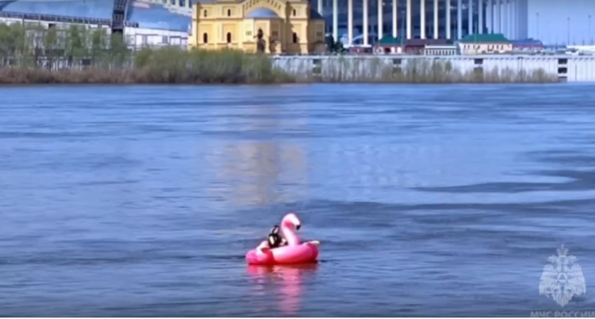 В Нижнем Новгороде спасли блогершу, которая отправилась в турне по Волге на надувном фламинго