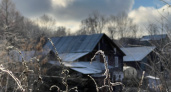 Черемуховые заморозки ударят по центральной части России: подготовьте урожай к надвигающейся беде